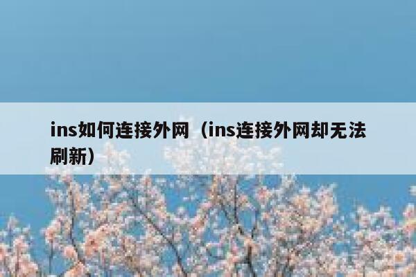 ins如何连接外网（ins连接外网却无法刷新） 第1张