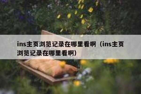 ins主页浏览记录在哪里看啊（ins主页浏览记录在哪里看啊） 第1张