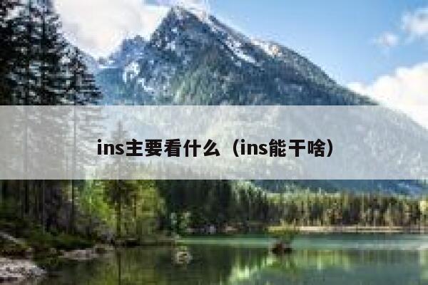 ins主要看什么（ins能干啥） 第1张