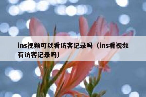 ins视频可以看访客记录吗（ins看视频有访客记录吗） 第1张