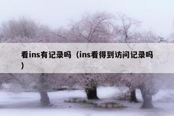 看ins有记录吗（ins看得到访问记录吗） 第1张