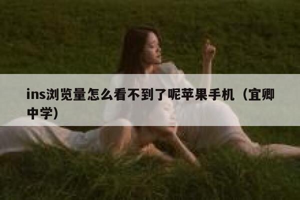 ins浏览量怎么看不到了呢苹果手机（宜卿中学） 第1张
