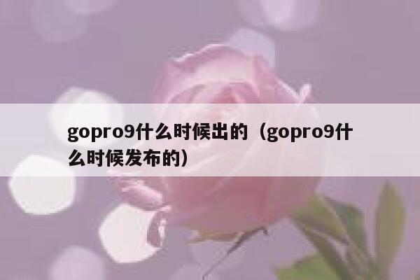 gopro9什么时候出的（gopro9什么时候发布的） 第1张