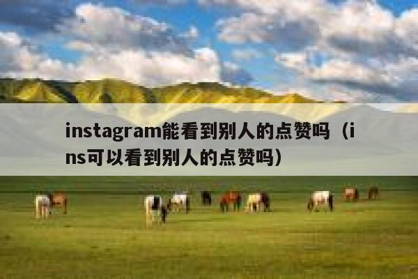 instagram能看到别人的点赞吗（ins可以看到别人的点赞吗） 第1张