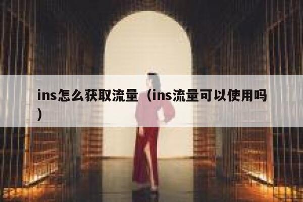 ins怎么获取流量（ins流量可以使用吗） 第1张