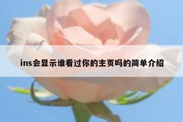 ins会显示谁看过你的主页吗的简单介绍 第1张