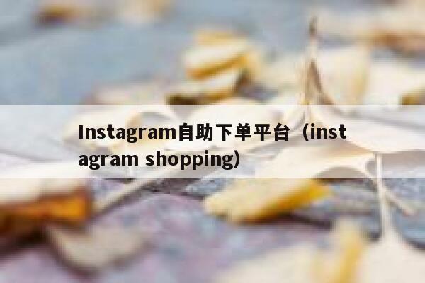 Instagram自助下单平台（instagram shopping） 第1张
