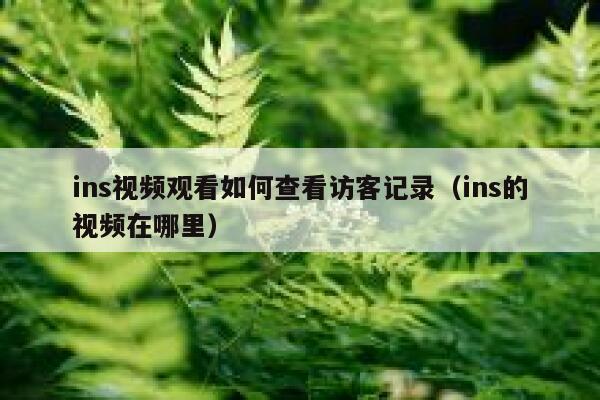 ins视频观看如何查看访客记录（ins的视频在哪里） 第1张