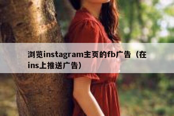 浏览instagram主页的fb广告（在ins上推送广告） 第1张