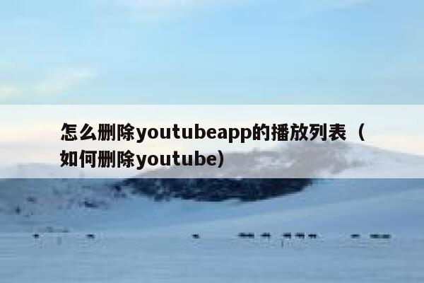 怎么删除youtubeapp的播放列表（如何删除youtube） 第1张