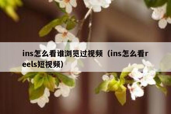 ins怎么看谁浏览过视频（ins怎么看reels短视频） 第1张