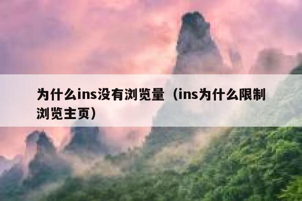 为什么ins没有浏览量（ins为什么限制浏览主页） 第1张