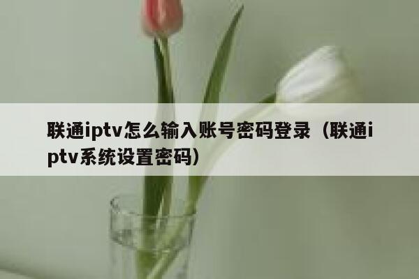 联通iptv怎么输入账号密码登录（联通iptv系统设置密码） 第1张