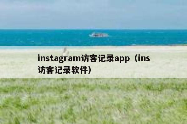 instagram访客记录app（ins访客记录软件） 第1张