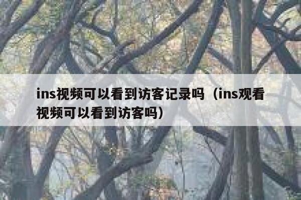 ins视频可以看到访客记录吗（ins观看视频可以看到访客吗） 第1张