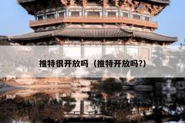 推特很开放吗（推特开放吗?） 第1张