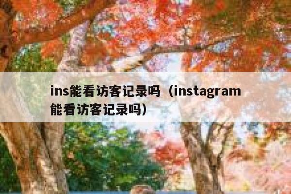 ins能看访客记录吗（instagram能看访客记录吗） 第1张