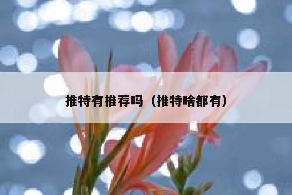 推特有推荐吗（推特啥都有） 第1张