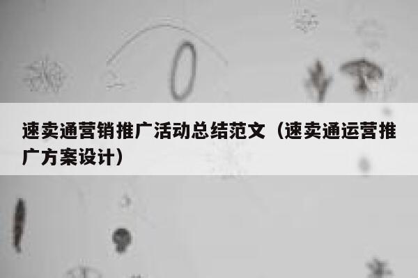 速卖通营销推广活动总结范文（速卖通运营推广方案设计） 第1张
