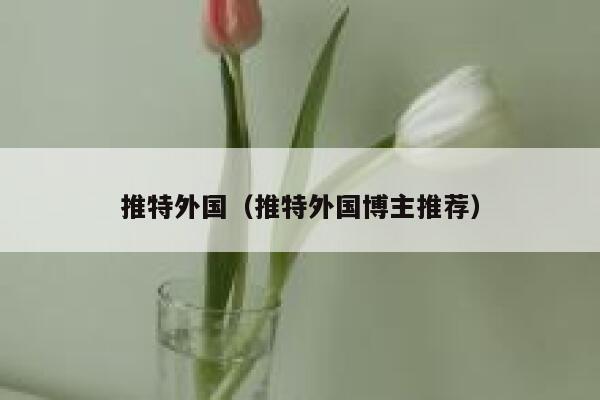 推特外国（推特外国博主推荐） 第1张