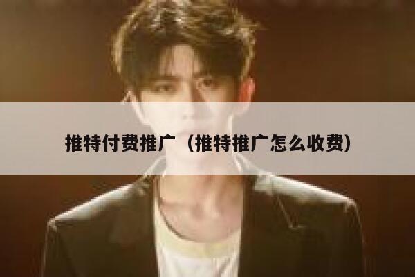 推特付费推广（推特推广怎么收费） 第1张