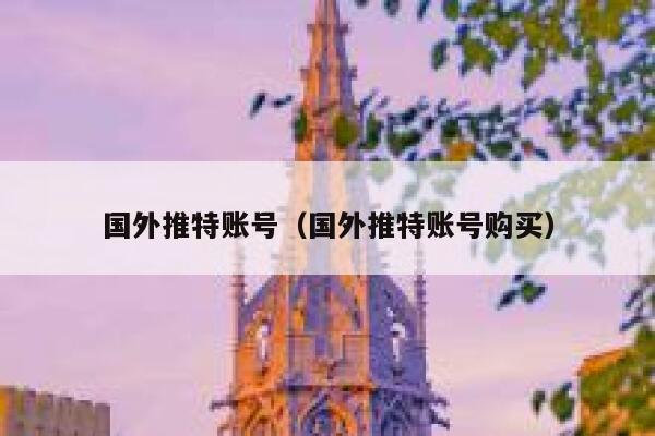 国外推特账号（国外推特账号购买） 第1张