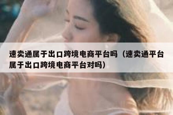 速卖通属于出口跨境电商平台吗（速卖通平台属于出口跨境电商平台对吗） 第1张
