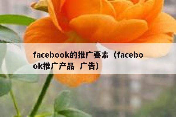 facebook的推广要素（facebook推广产品  广告） 第1张