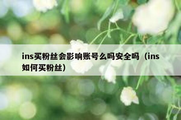 ins买粉丝会影响账号么吗安全吗（ins如何买粉丝） 第1张