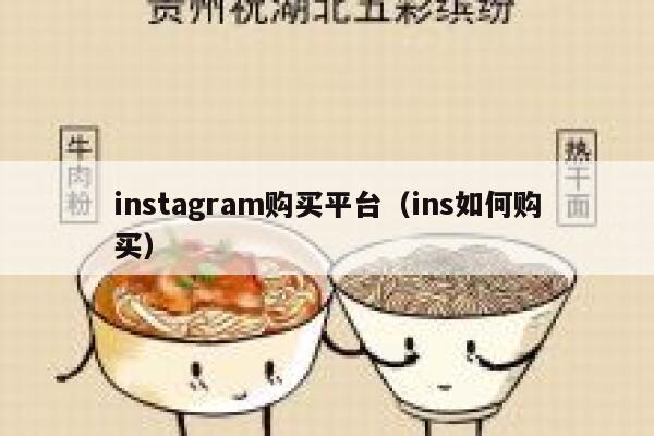 instagram购买平台（ins如何购买） 第1张