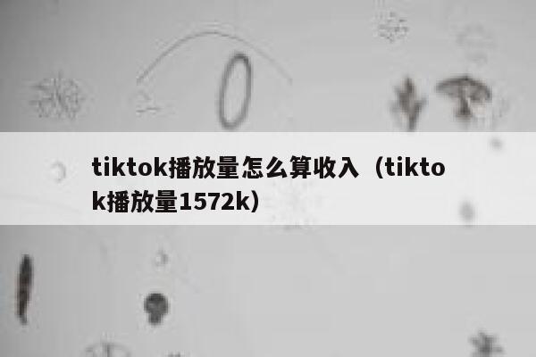 tiktok播放量怎么算收入（tiktok播放量1572k） 第1张