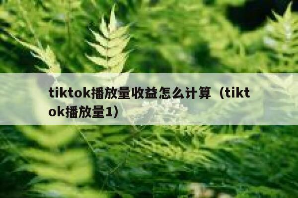 tiktok播放量收益怎么计算（tiktok播放量1） 第1张