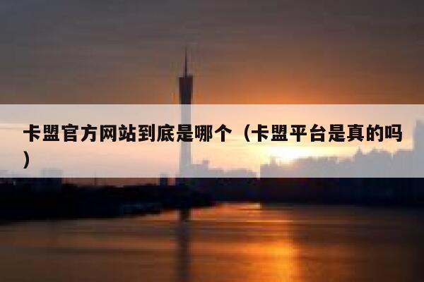 卡盟官方网站到底是哪个（卡盟平台是真的吗） 第1张