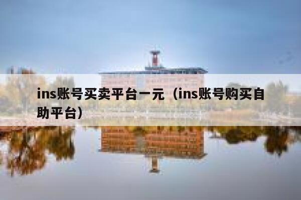 ins账号买卖平台一元（ins账号购买自助平台） 第1张