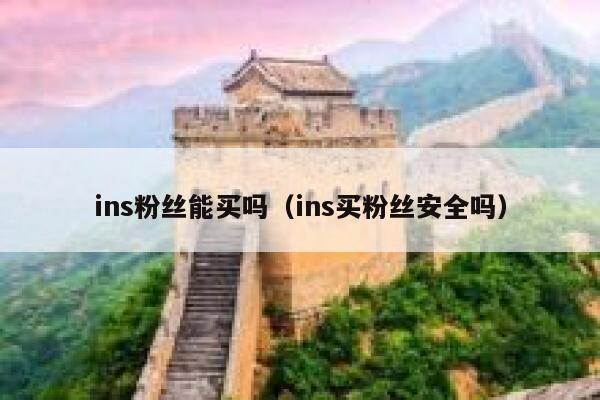 ins粉丝能买吗（ins买粉丝安全吗） 第1张