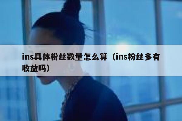 ins具体粉丝数量怎么算（ins粉丝多有收益吗） 第1张
