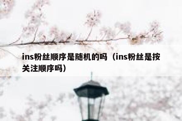 ins粉丝顺序是随机的吗（ins粉丝是按关注顺序吗） 第1张