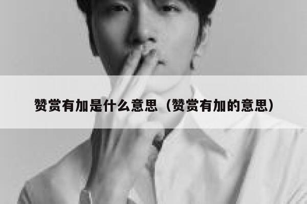 赞赏有加是什么意思（赞赏有加的意思） 第1张
