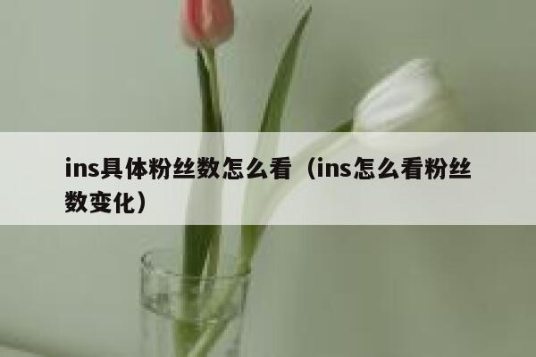 ins具体粉丝数怎么看（ins怎么看粉丝数变化） 第1张