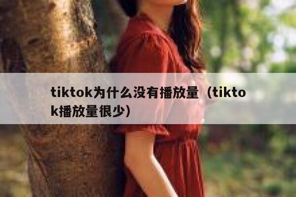 tiktok为什么没有播放量（tiktok播放量很少） 第1张