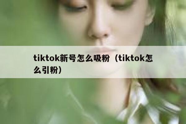 tiktok新号怎么吸粉（tiktok怎么引粉） 第1张