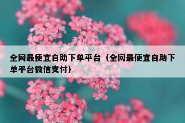 全网最便宜自助下单平台（全网最便宜自助下单平台微信支付） 第1张