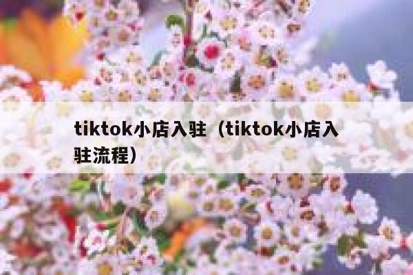 tiktok小店入驻（tiktok小店入驻流程） 第1张