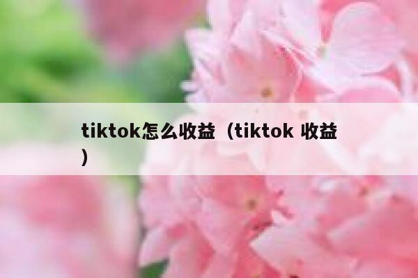 tiktok怎么收益（tiktok 收益） 第1张