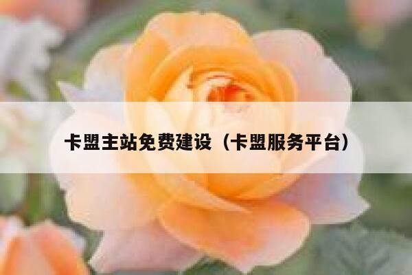 卡盟主站免费建设（卡盟服务平台） 第1张
