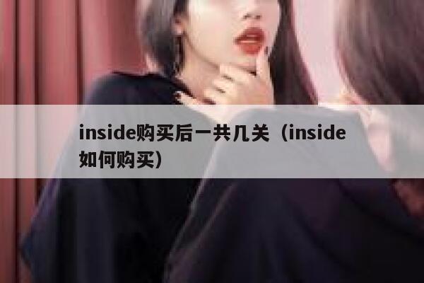 inside购买后一共几关（inside如何购买） 第1张