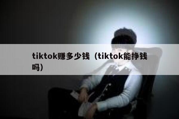 tiktok赚多少钱（tiktok能挣钱吗） 第1张