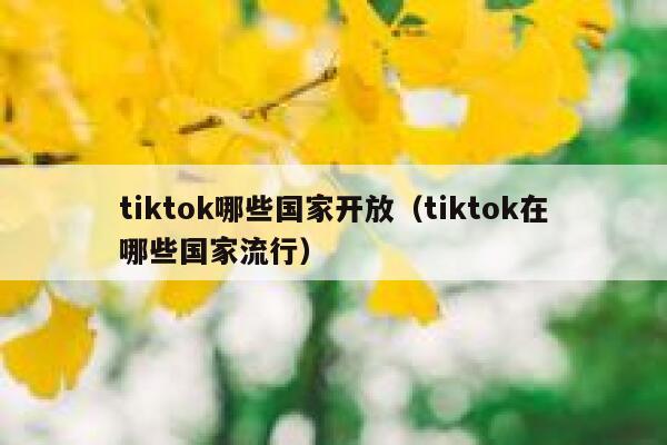 tiktok哪些国家开放（tiktok在哪些国家流行） 第1张