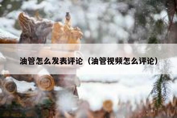 油管怎么发表评论（油管视频怎么评论） 第1张
