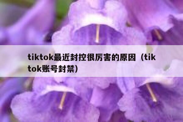 tiktok最近封控很厉害的原因（tiktok账号封禁） 第1张